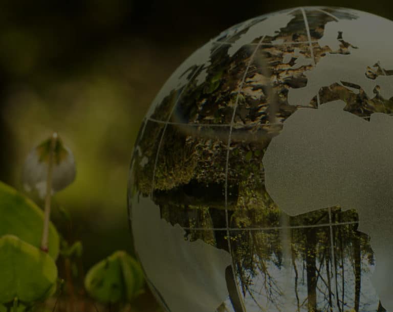 LTE Broadcast (eMBMS) Market Update – Snapshot