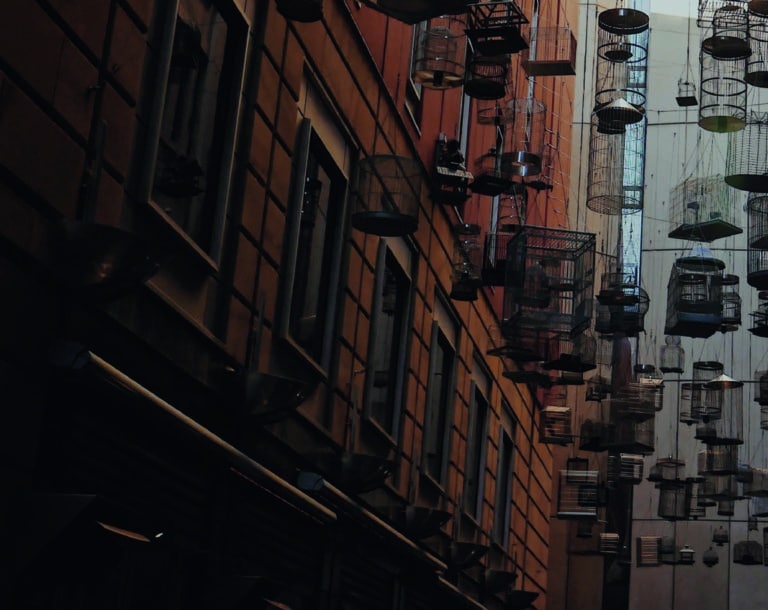 LTE – 5G June 2020: Market Snapshot